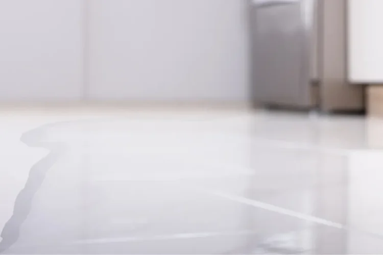 Fridge leaking water