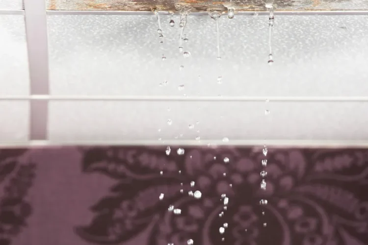 fridge leaking inside